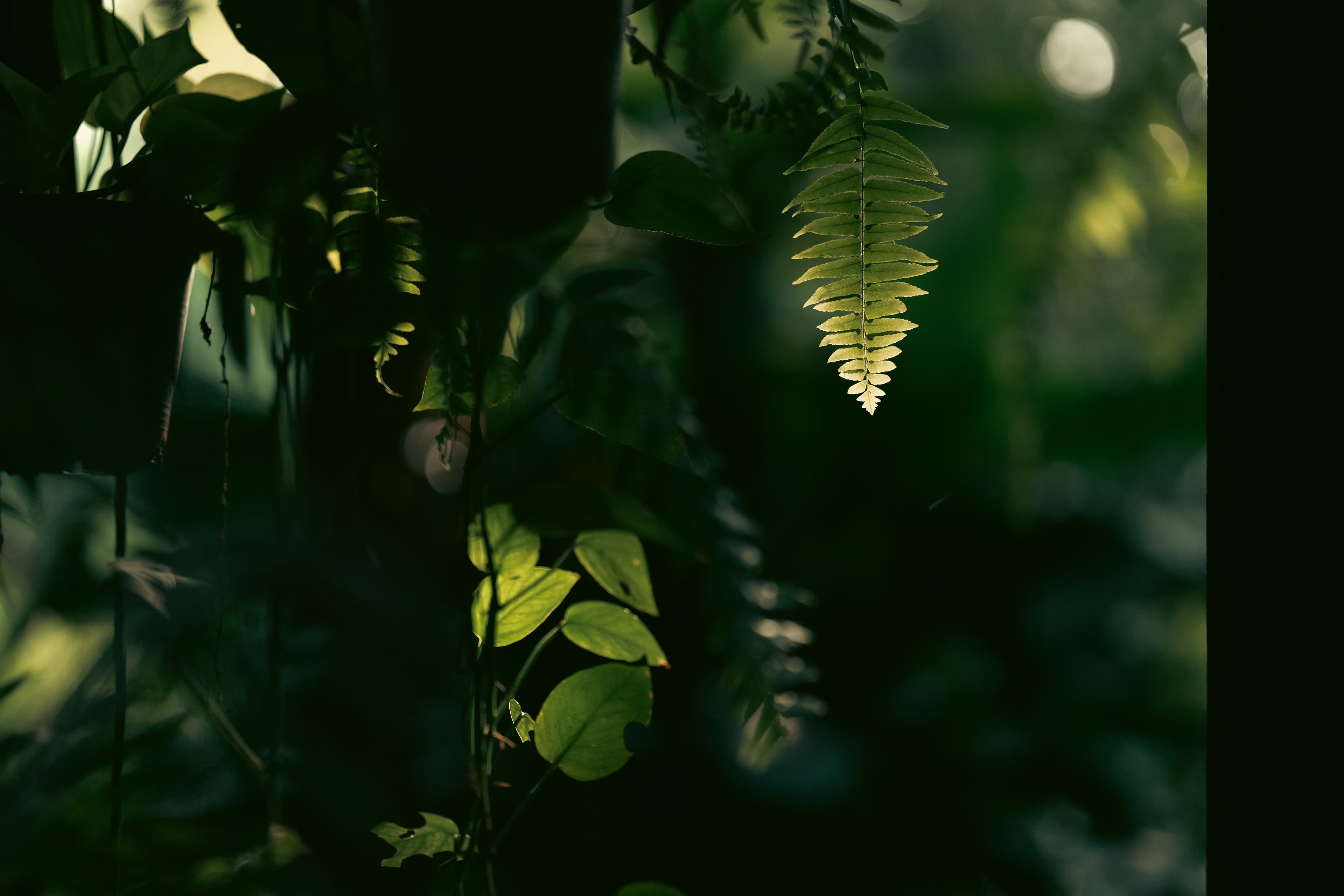 Occidente de Costa Rica, Costa Rica