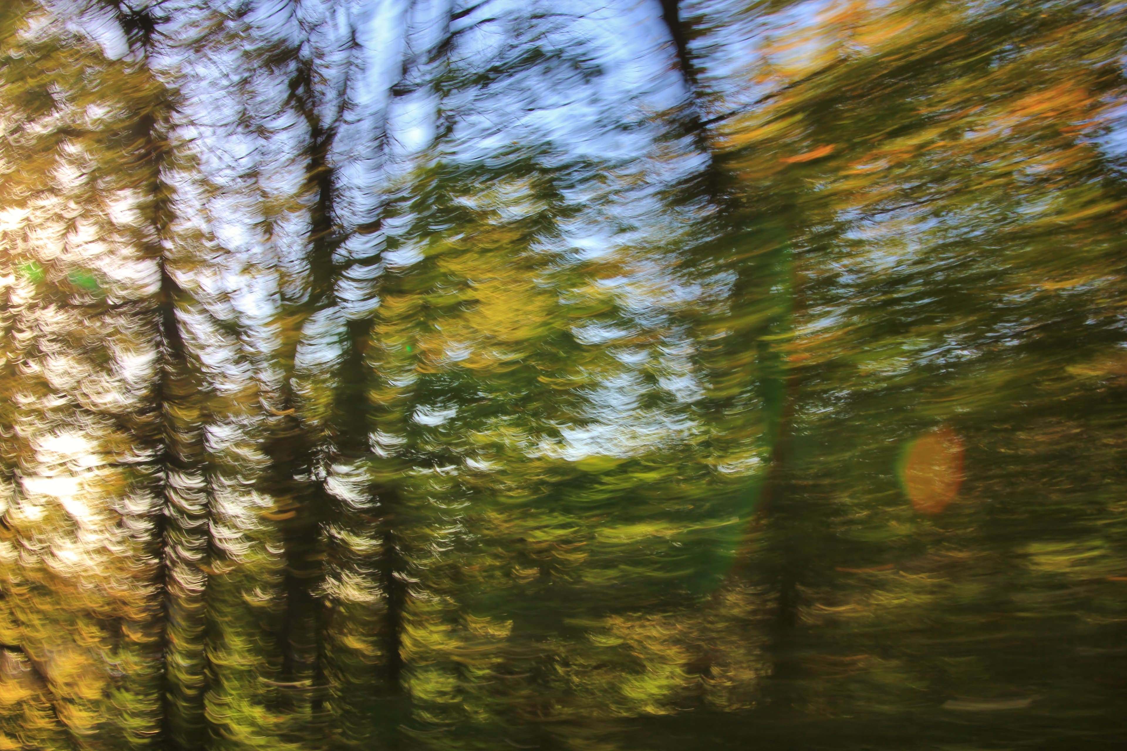 Motion Roast · bag